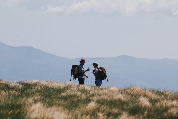 Où observer les oiseaux dans le delta de l'Okavango, Botswana : périodes et meilleurs sites ?