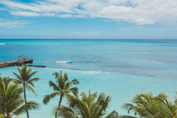 Où observer les techniques traditionnelles de pêche aux cormorans au Japon?